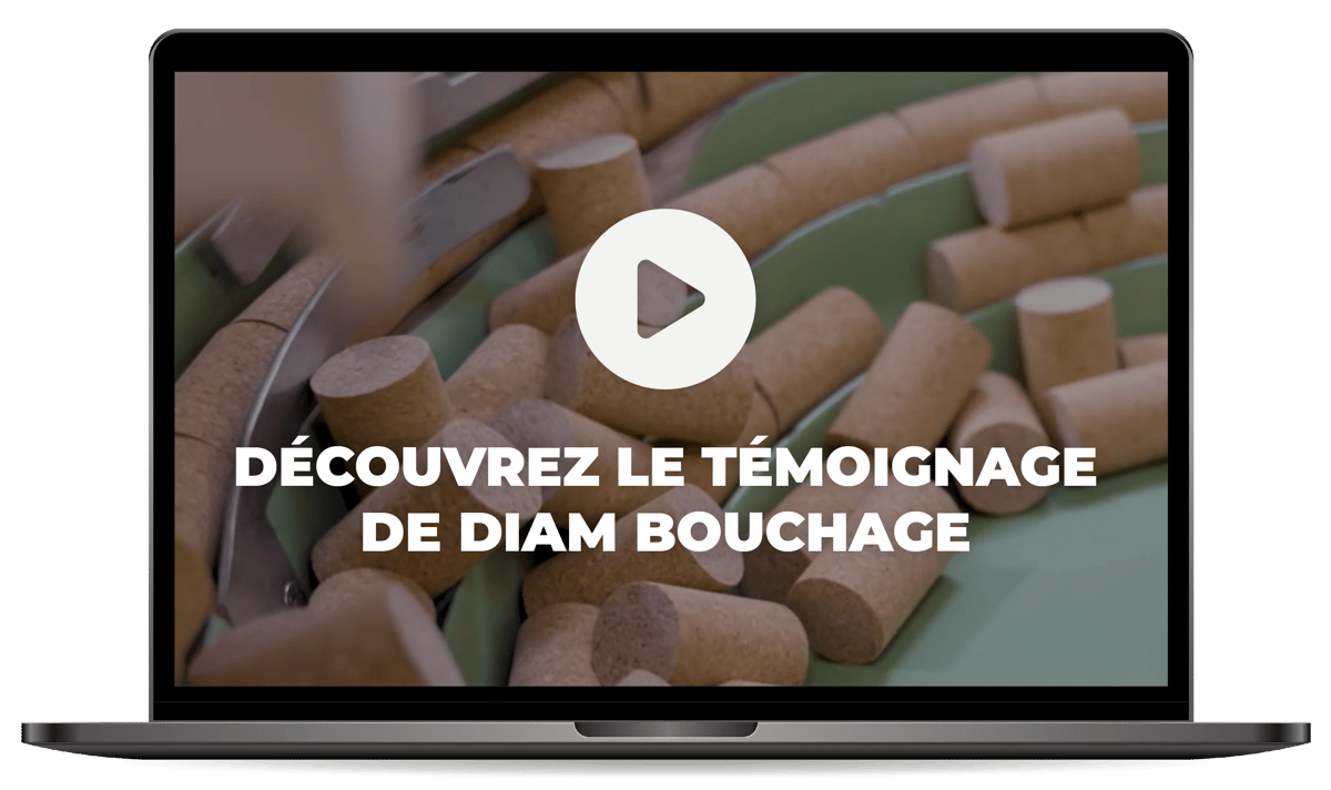 Témoignage vidéo Diam Bouchage
