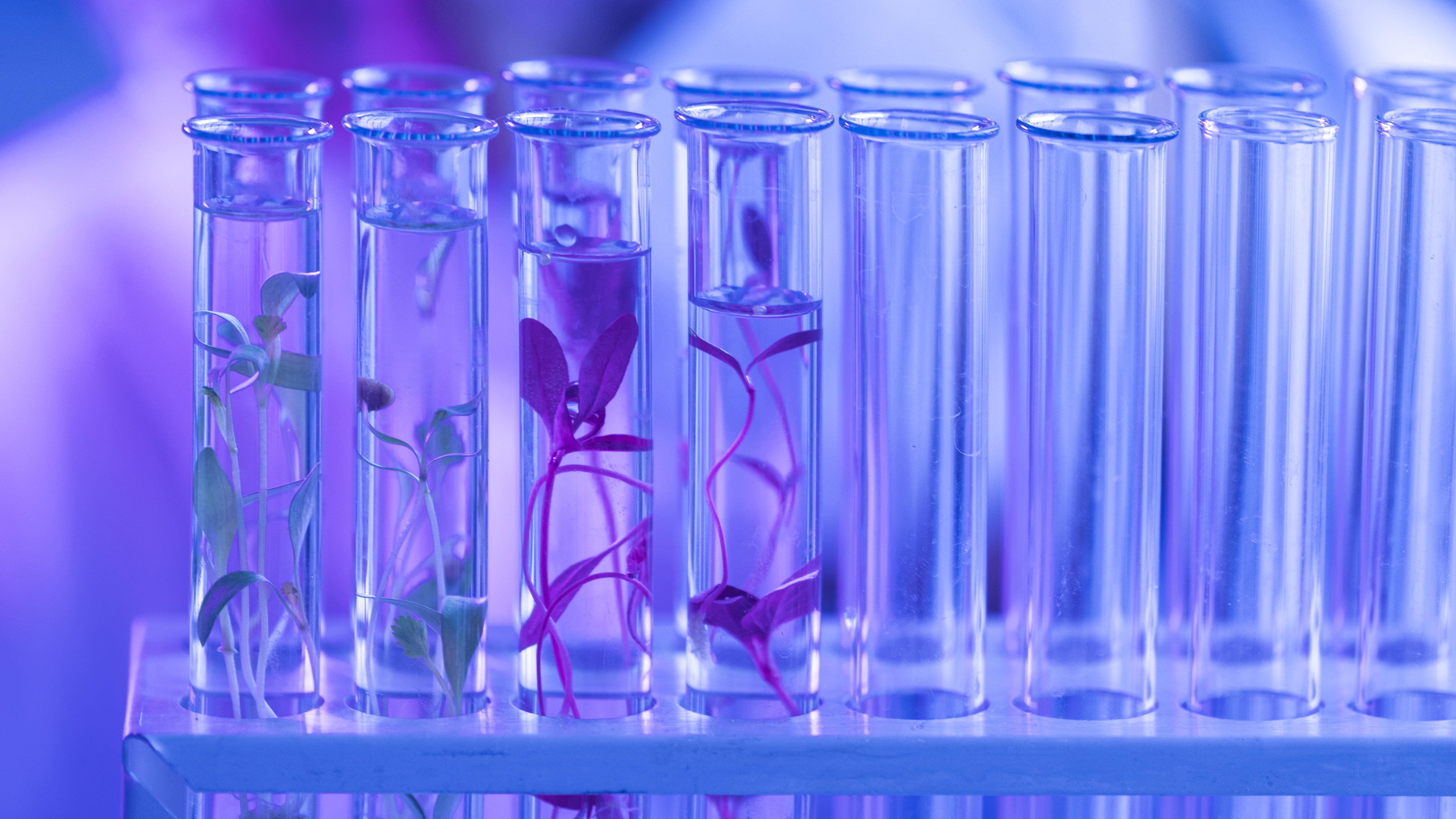 5 conseils testés pour fiabiliser les pratiques de laboratoire en 2026